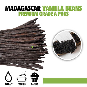 Vacuum-sealed FITNCLEAN vanilla bean pack preserves freshness and flavor.