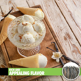 FITNCLEAN vanilla bulk-pack offers cost-effective baking flavor