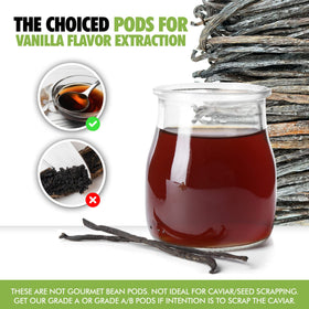 FITNCLEAN vanilla extract bottle ready for quick flavoring