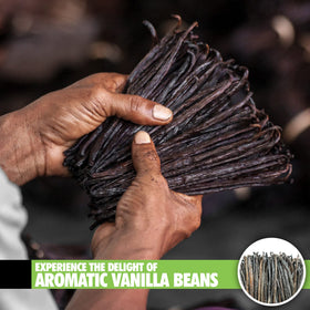 Cut for extraction FITNCLEAN vanilla pods prepared to infuse alcohol quickly.