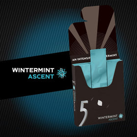 Five Gum Wintermint Ascent pack back shows branding and sugar-free claim