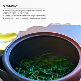 FKRO Gyokuro 21-day shade process highlights slow cultivation for smooth flavor.