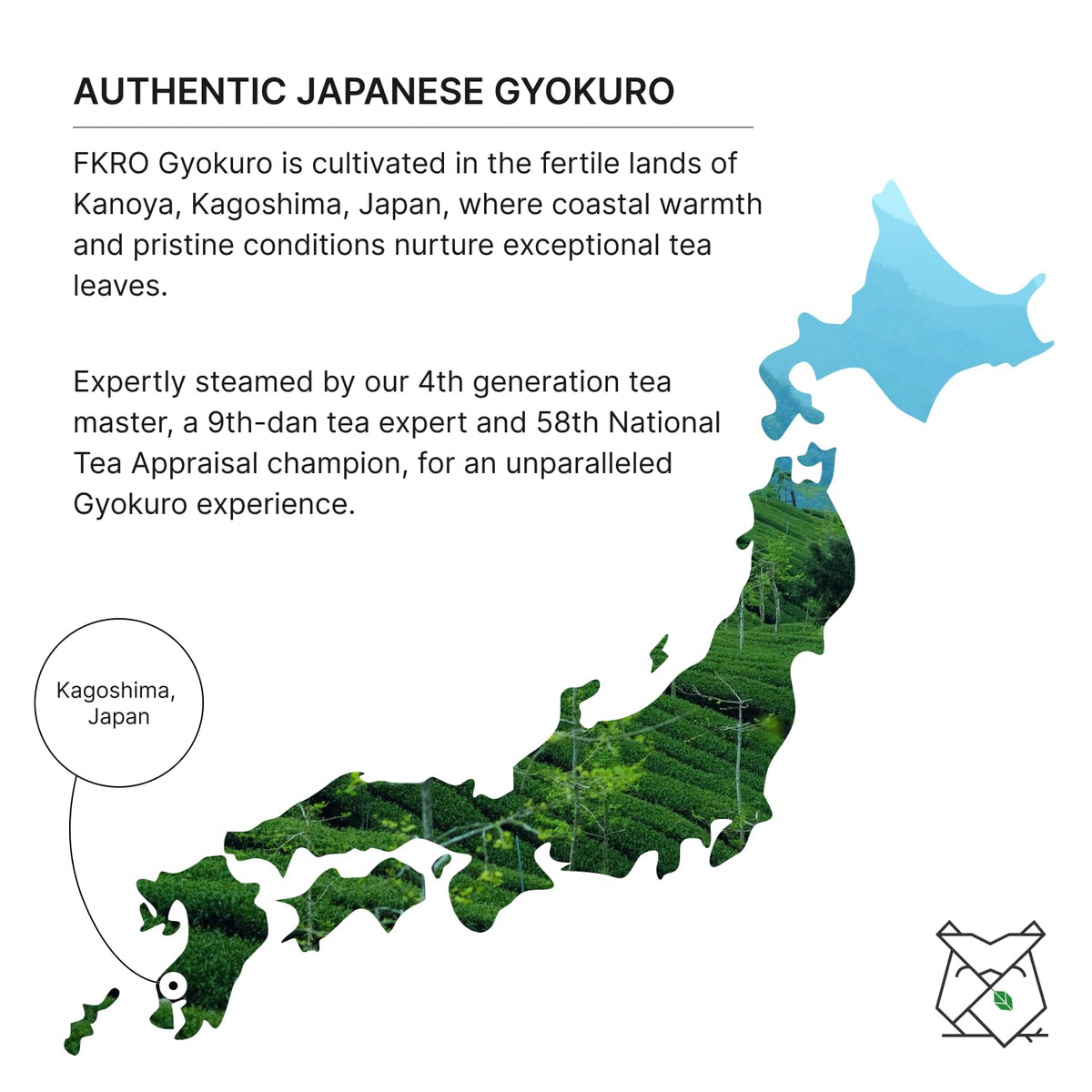 FKRO Gyokuro brew aroma of a steaming cup releasing creamy, savory notes.