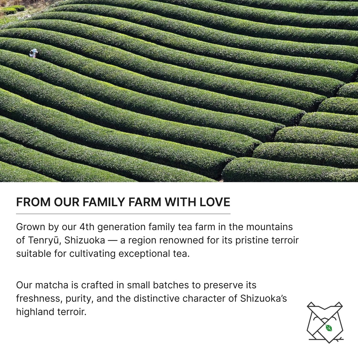 FKRO cup shows creamy, foamy Usucha with a natural, sweet finish.