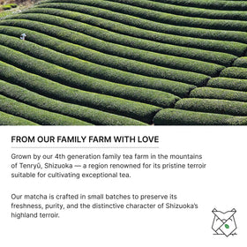 FKRO cup shows creamy, foamy Usucha with a natural, sweet finish.