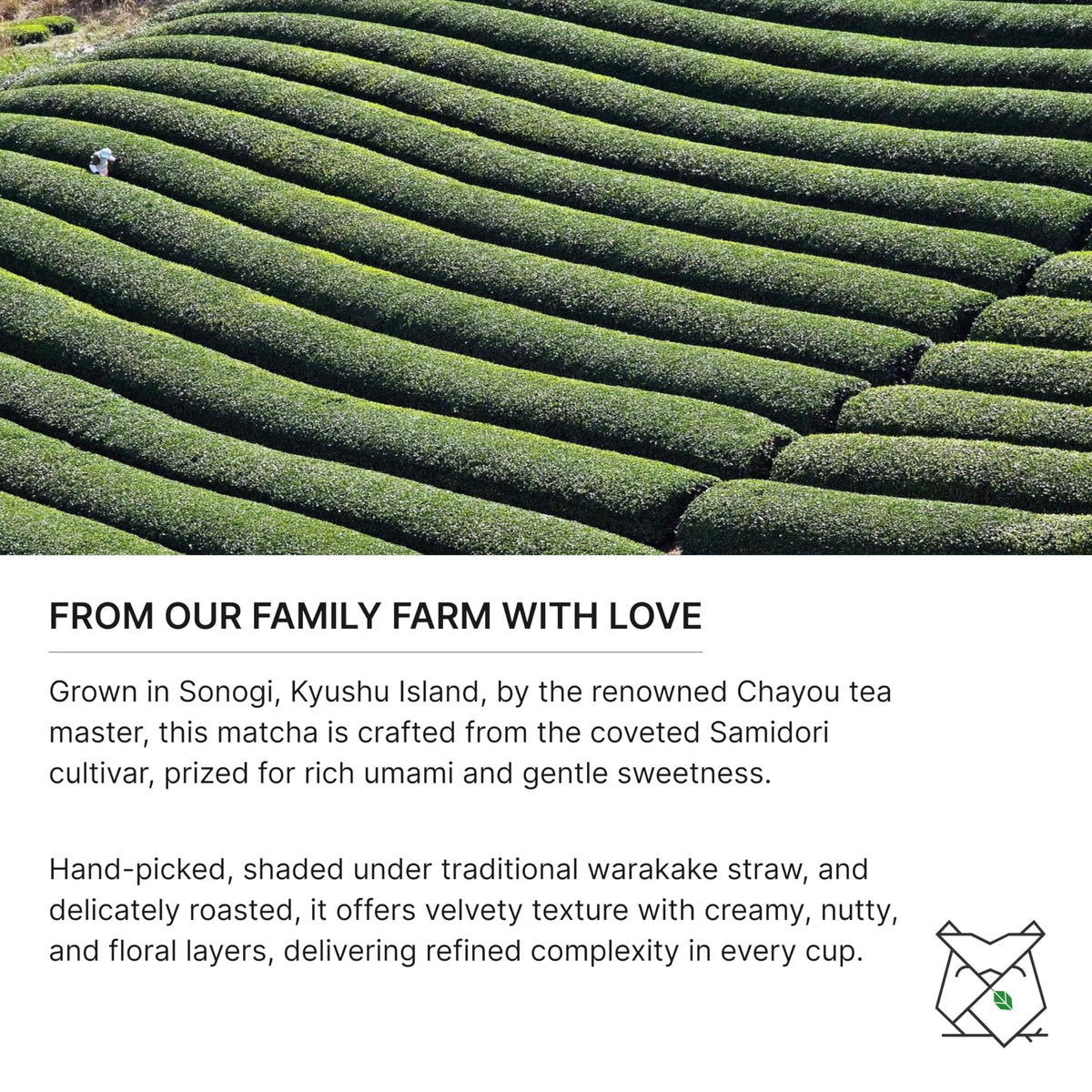 FKRO Matcha powder closeup highlights vibrant green color and fine texture.