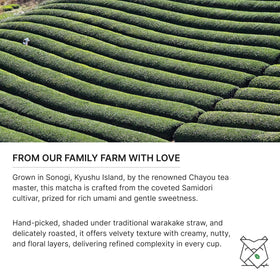 FKRO Matcha powder closeup highlights vibrant green color and fine texture.