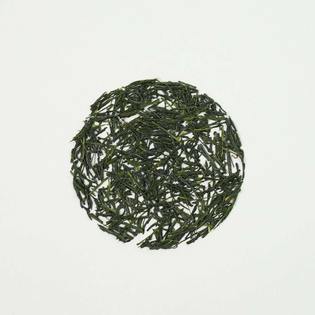 FKRO Tea Master Sakuya-san crafts Gyokuro with traditional, meticulous care.