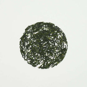 FKRO Tea Master Sakuya-san crafts Gyokuro with traditional, meticulous care.