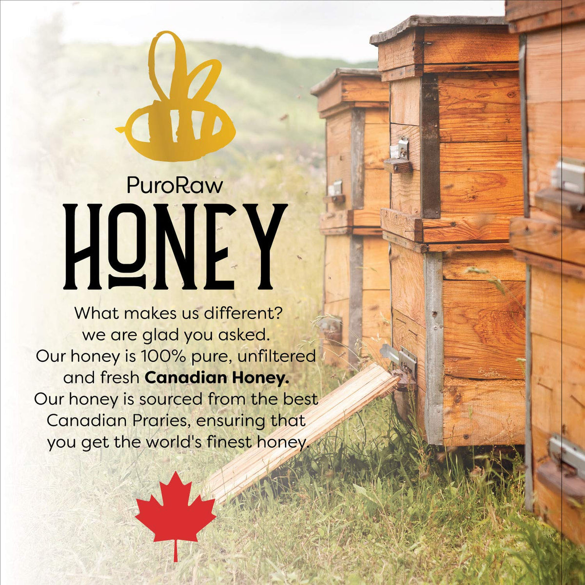 Fladora raw white honey skin care mask idea for natural beauty routines.