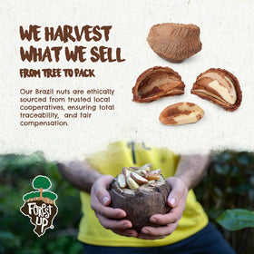 Floresta em Pé Brazil nuts aroma and roasted surface inviting natural flavor.