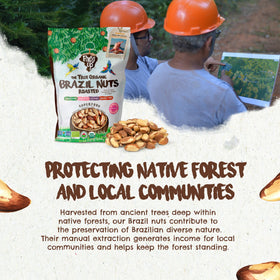Floresta em Pé Brazil nuts certifications with organic and kosher icons.