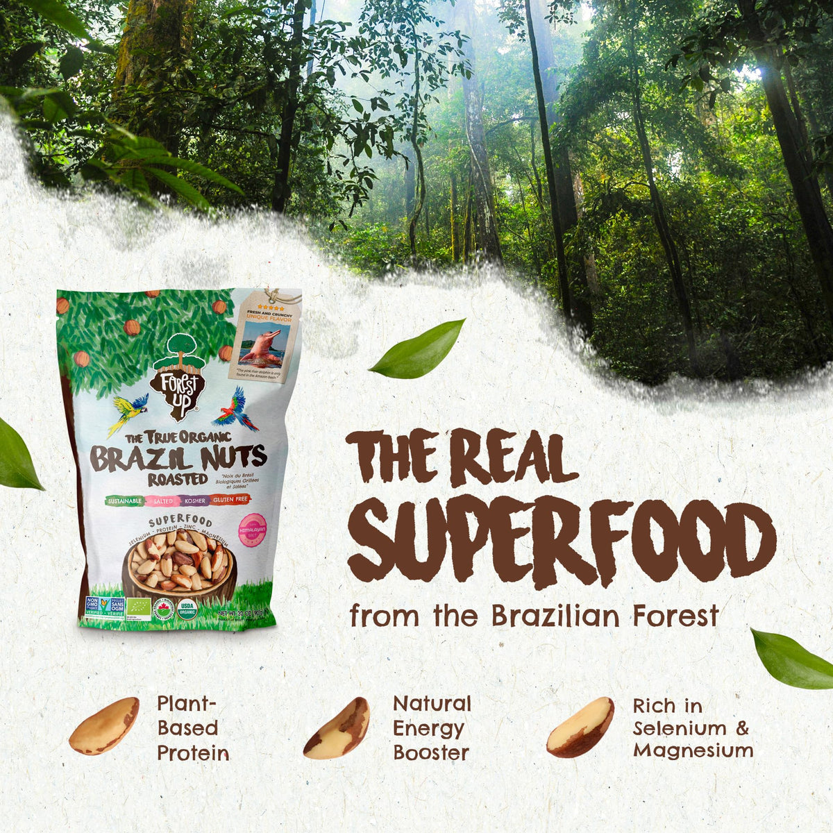 Floresta em Pé Brazil nuts closeup showing crisp texture ideal for crunchy snacking.