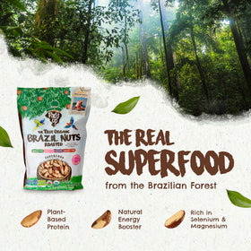 Floresta em Pé Brazil nuts closeup showing crisp texture ideal for crunchy snacking.