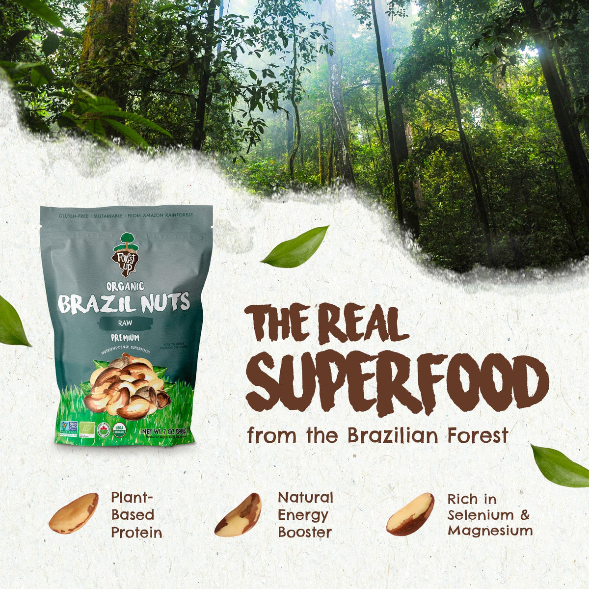 Close-up of Floresta em Pé Brazil nuts highlights a crunchy, shelled texture for quick bites.