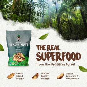 Close-up of Floresta em Pé Brazil nuts highlights a crunchy, shelled texture for quick bites.