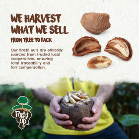 Floresta em Pé brazil nuts with kosher-certified packaging for inclusive snacking.