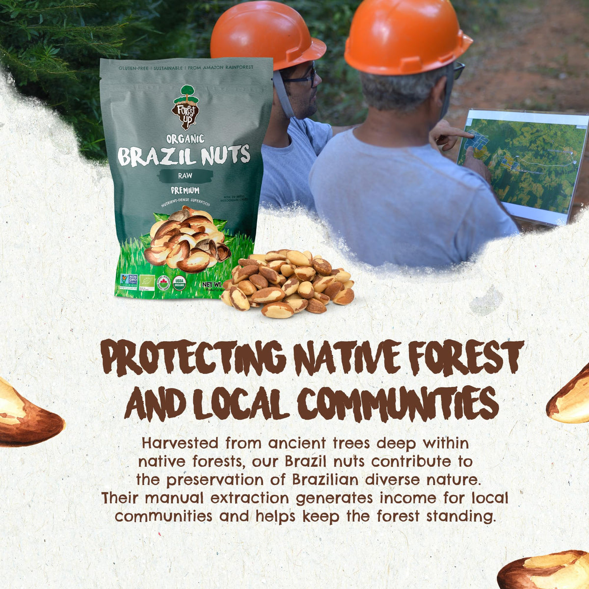 Nutrition close-up of Floresta em Pé Brazil nuts highlights selenium and vegetable protein.