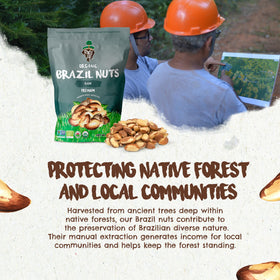 Nutrition close-up of Floresta em Pé Brazil nuts highlights selenium and vegetable protein.