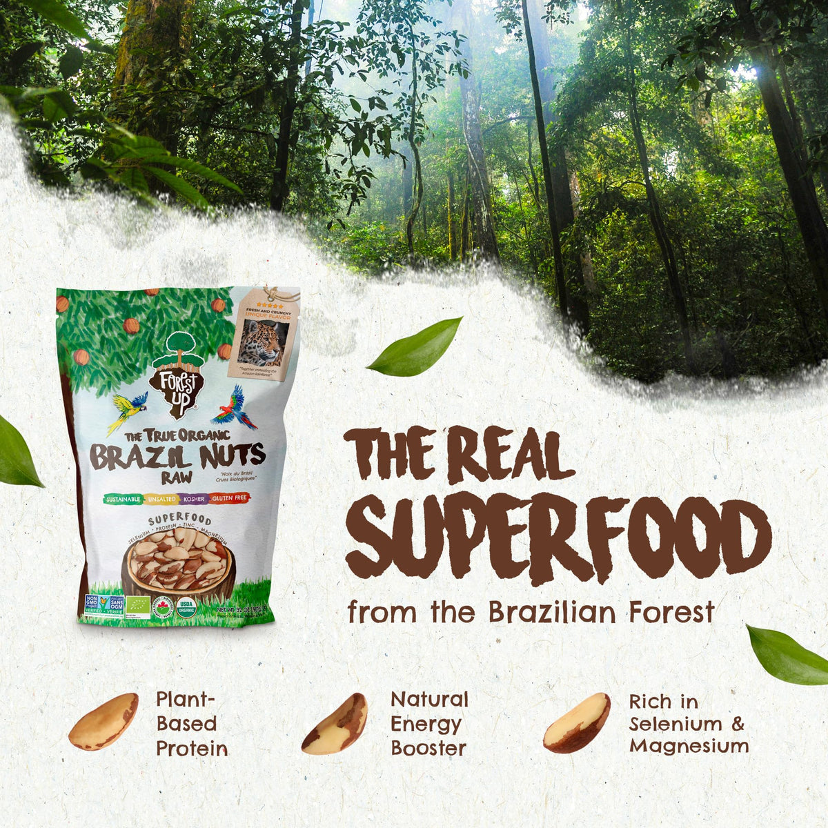 Floresta em Pé organic and kosher labeled Brazil nuts for clean plant-based nutrition