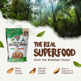 Floresta em Pé organic and kosher labeled Brazil nuts for clean plant-based nutrition