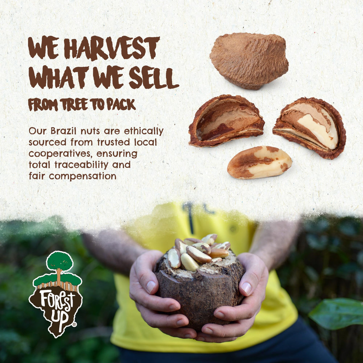 Floresta em Pé label showcases sustainability and responsible forest management.