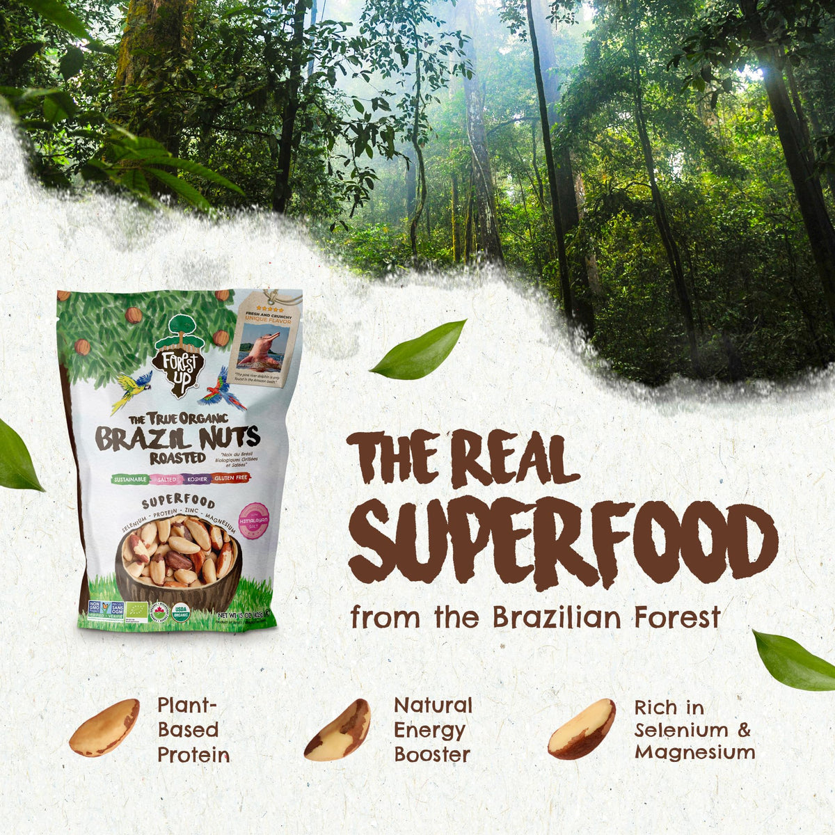 Floresta em Pé brazil nuts in a resealable package for easy freshness.