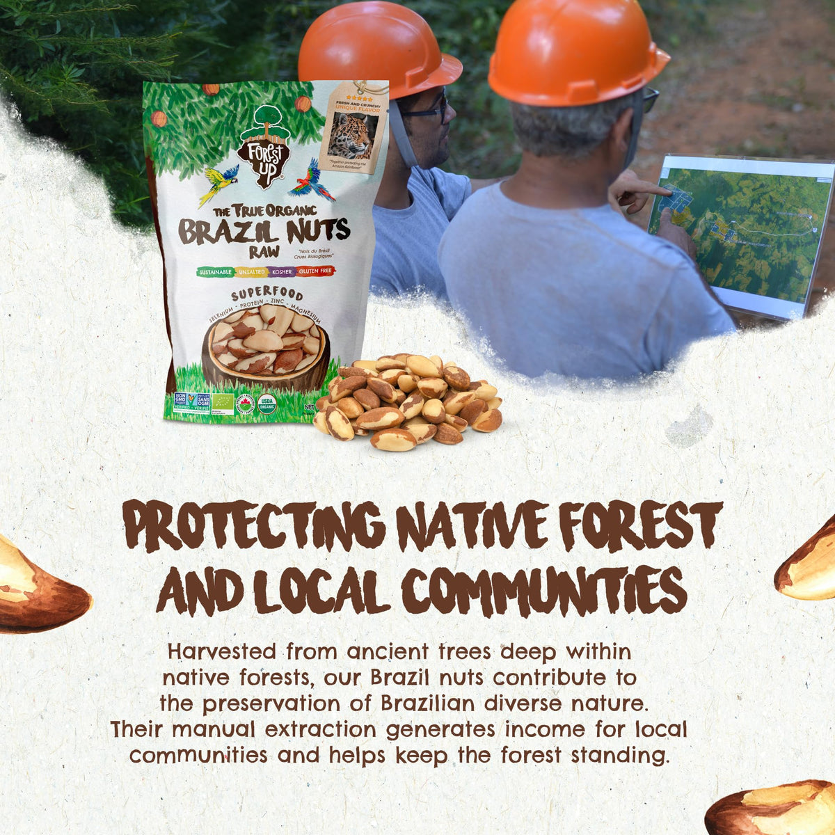 Floresta em Pé Brazil nuts raw and unsalted with natural flavor.