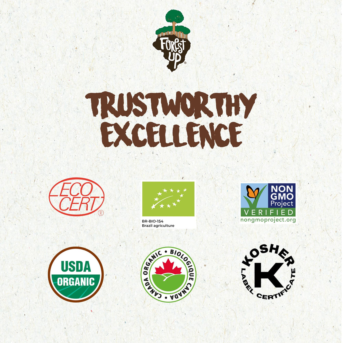 Floresta em Pé Brazil nuts rich in selenium and protein for daily energy
