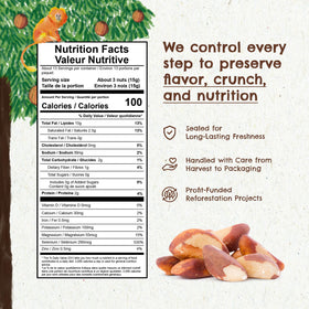 Serving bowl featuring Floresta em Pé Brazil nuts showcases a wholesome, protein-rich addition to meals.