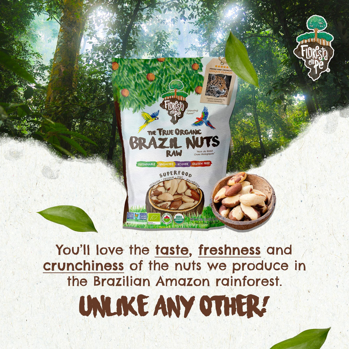 Floresta em Pé Brazil nuts support forest conservation and sustainable livelihoods.