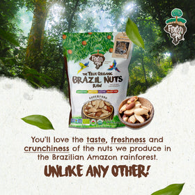 Floresta em Pé Brazil nuts support forest conservation and sustainable livelihoods.