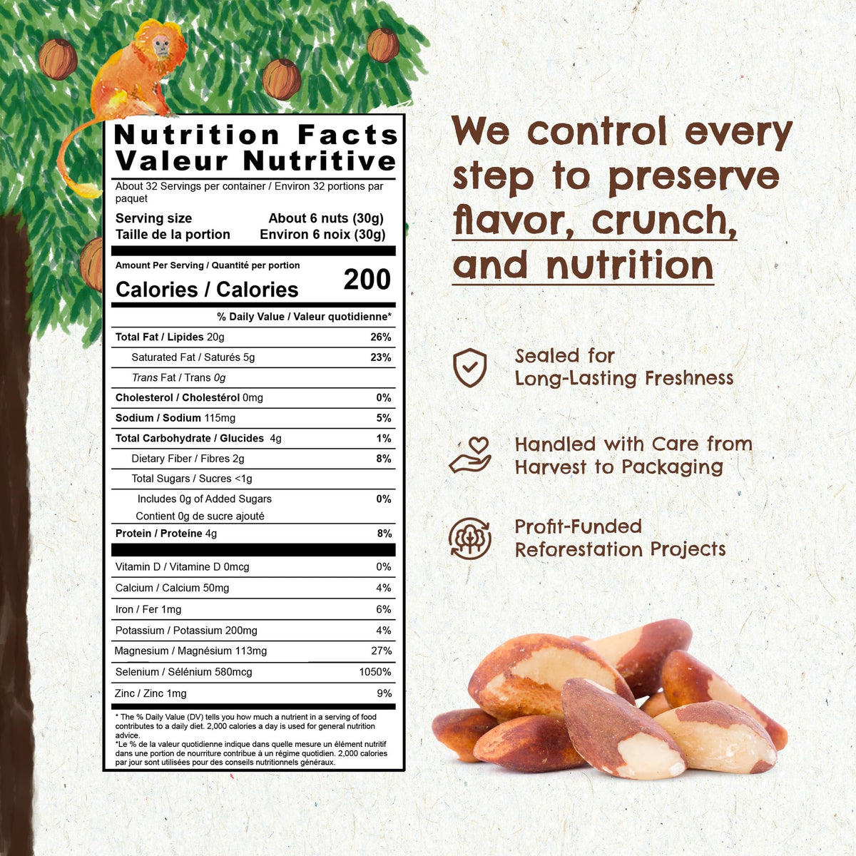 Floresta em Pé Brazil nuts texture closeup highlighting crisp, oil-free bite.
