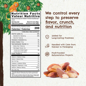 Floresta em Pé Brazil nuts texture closeup highlighting crisp, oil-free bite.