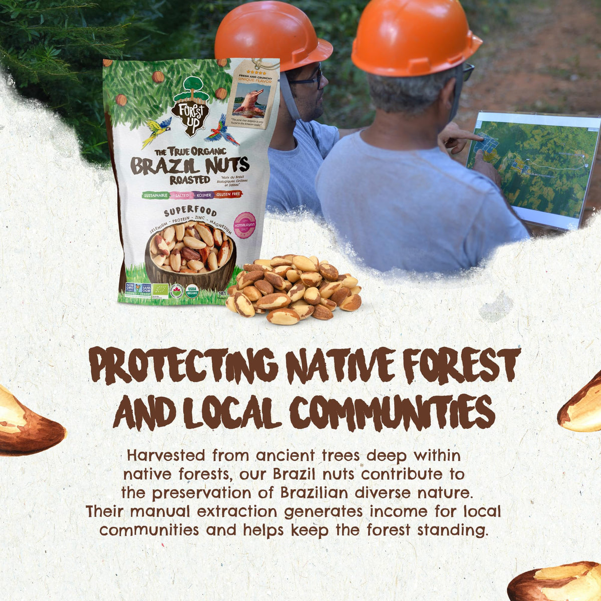 Floresta em Pé brazil nuts are vegan, gluten-free, oil-free.