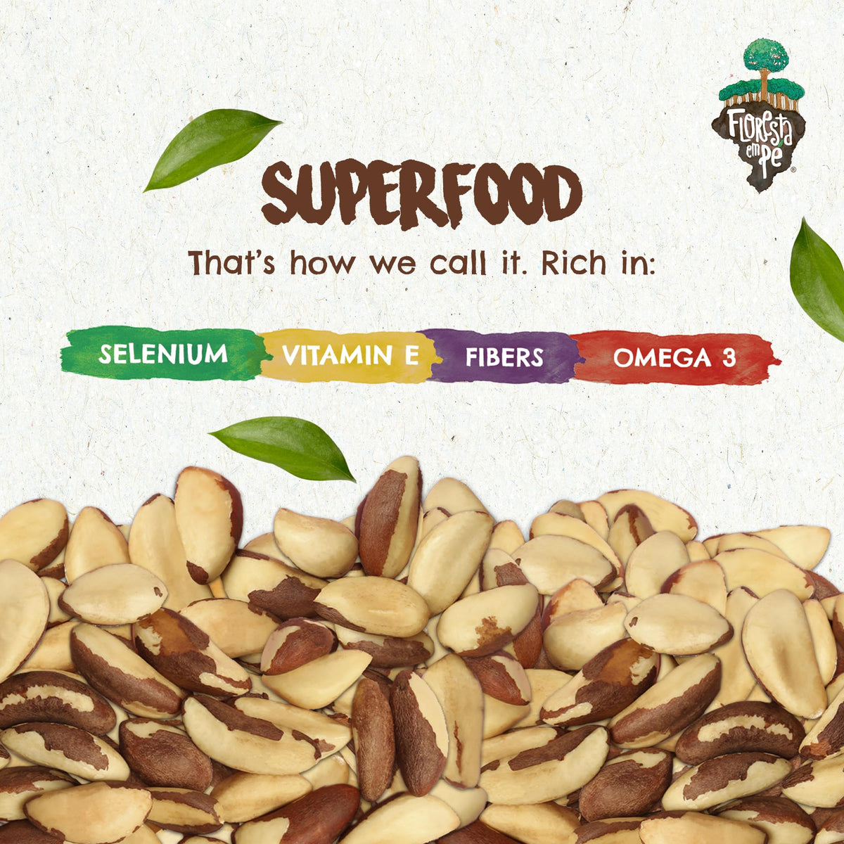 Preservative-free Floresta em Pé Brazil nuts broken snack