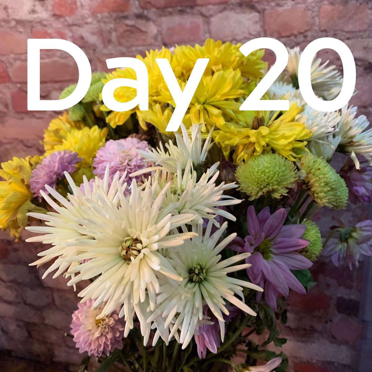Flower Boosters versatile formula for grocery, farmers market, delivery, or homegrown bouquets.