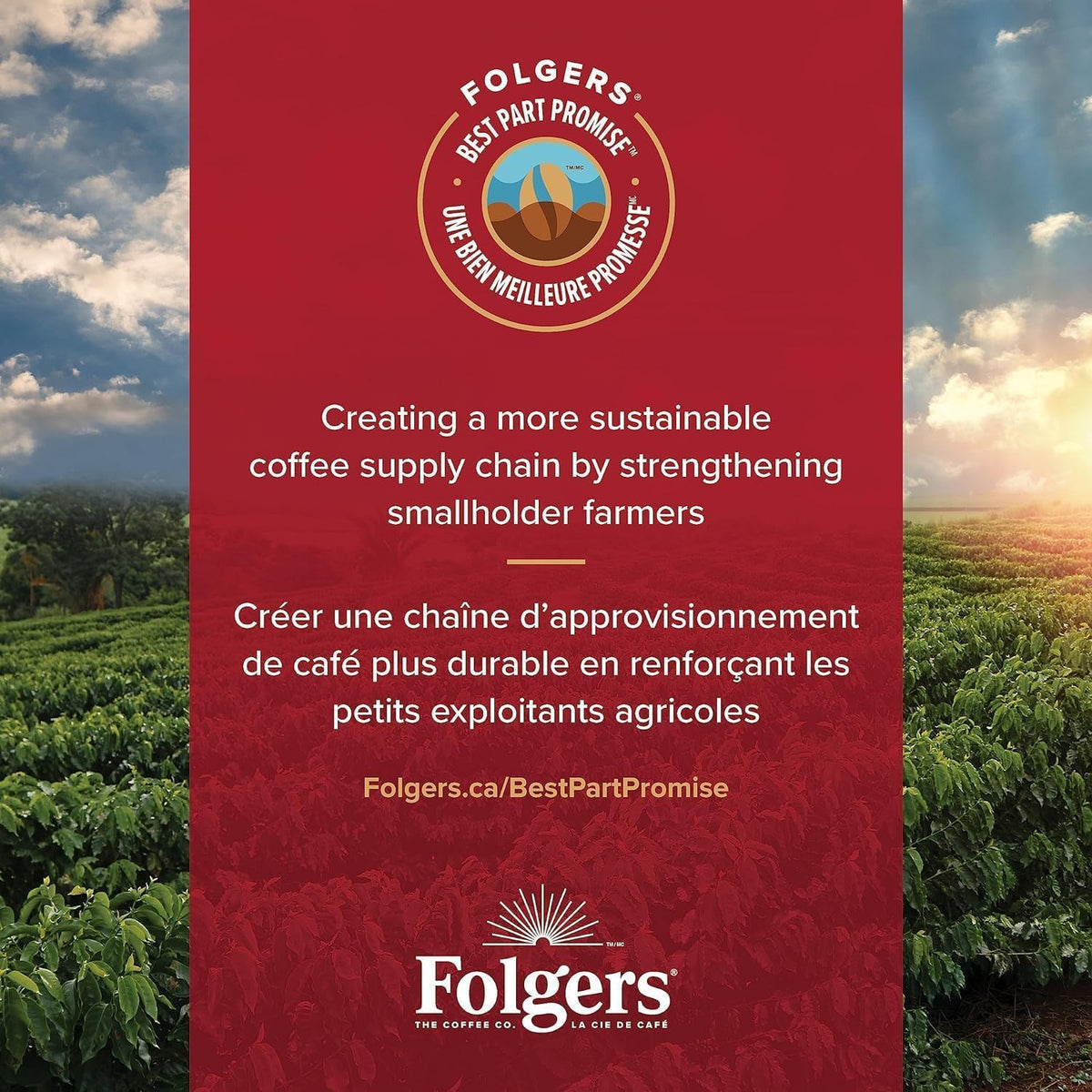 Steam rises from a mug brewed with Folgers Vanilla Biscotti K-Cups.
