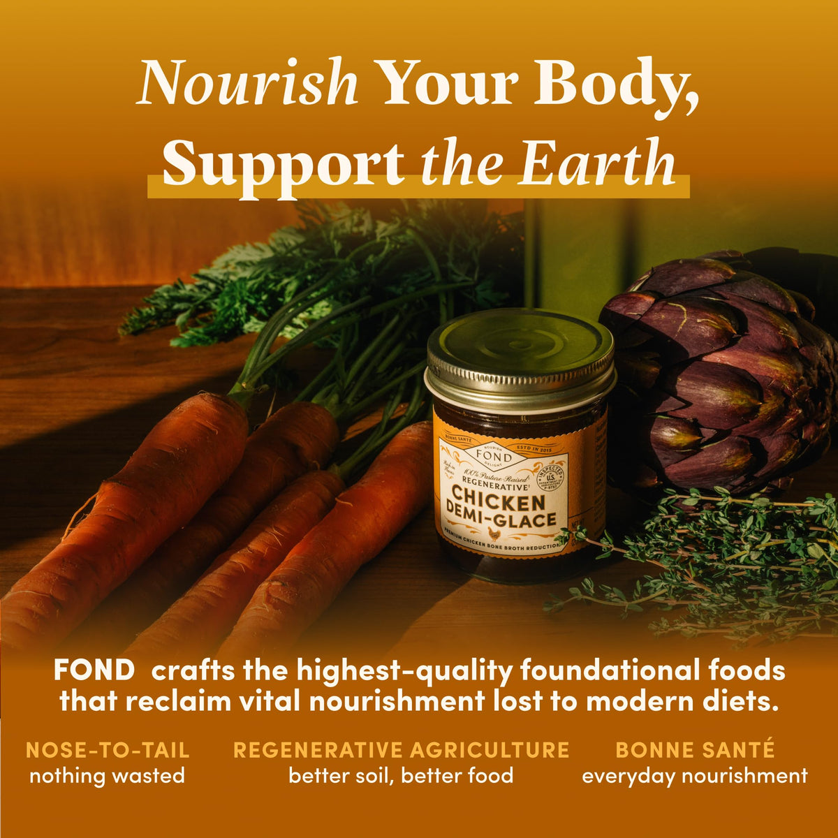 Fond Nourish Delight chicken bone broth reduction on plate.