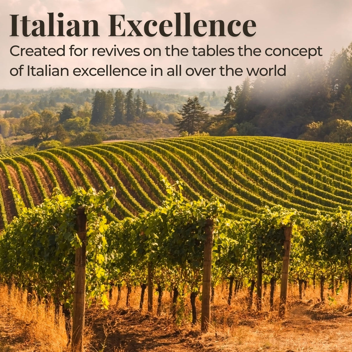 Modena label on Fondo Montebello glaze signaling traditional craftsmanship