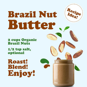 Food to Live Brazil nuts – bulk 8 oz pouch preserves freshness.
