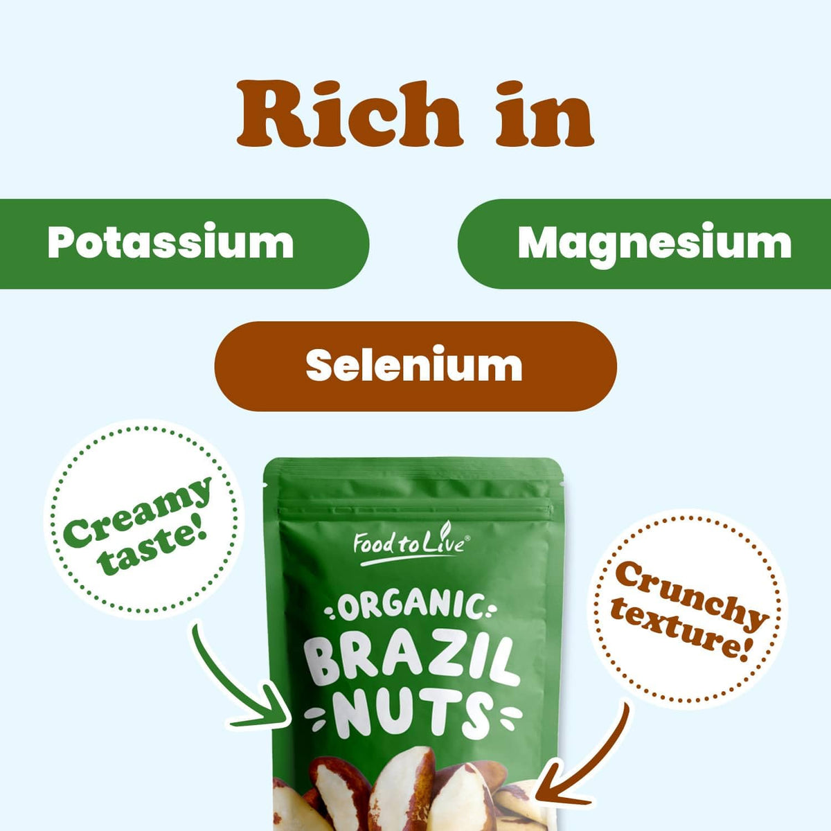Food to Live Brazil nuts – non-GMO, premium quality in bulk packaging.