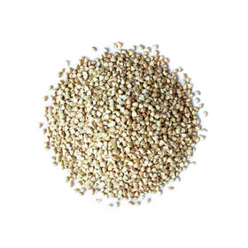 Food to Live buckwheat groats simmering into fluffy porridge.