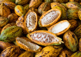 Food to Live cacao butter wafers nutrition panel highlighting minerals and fats.