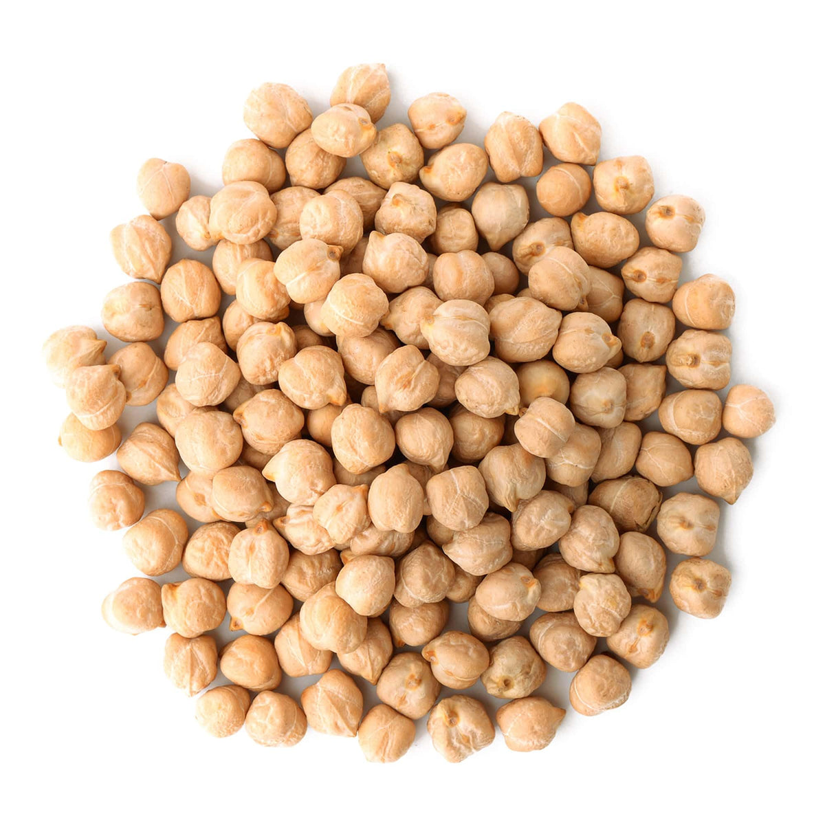 Food to Live garbanzo beans sprouting for nutrient-dense home sprouts.