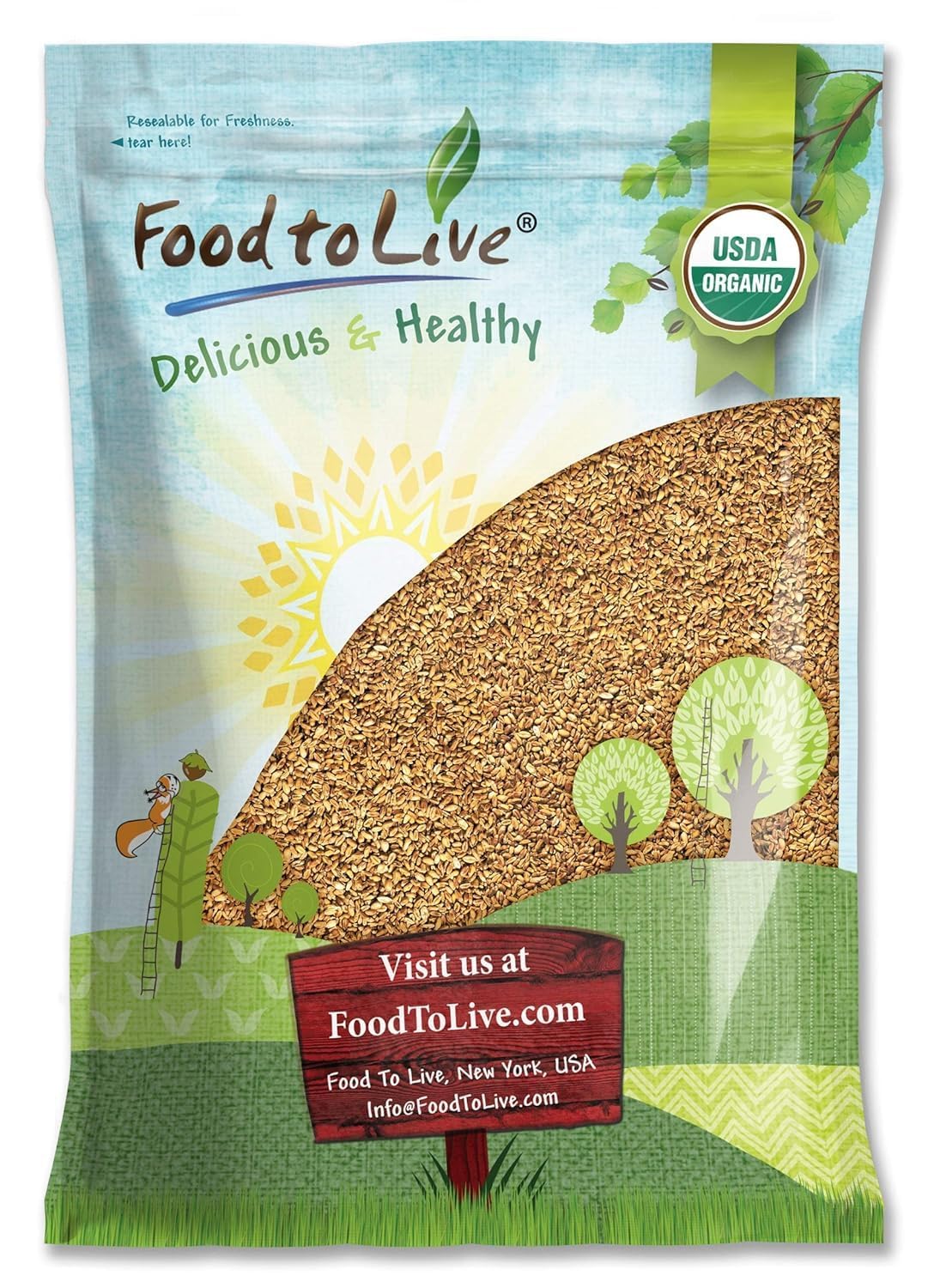 Food to Live oat groats shown as dry grains ideal for fiber-rich breakfasts.