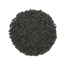 Food to Live Organic Black Lentils ready for sprouting on a countertop