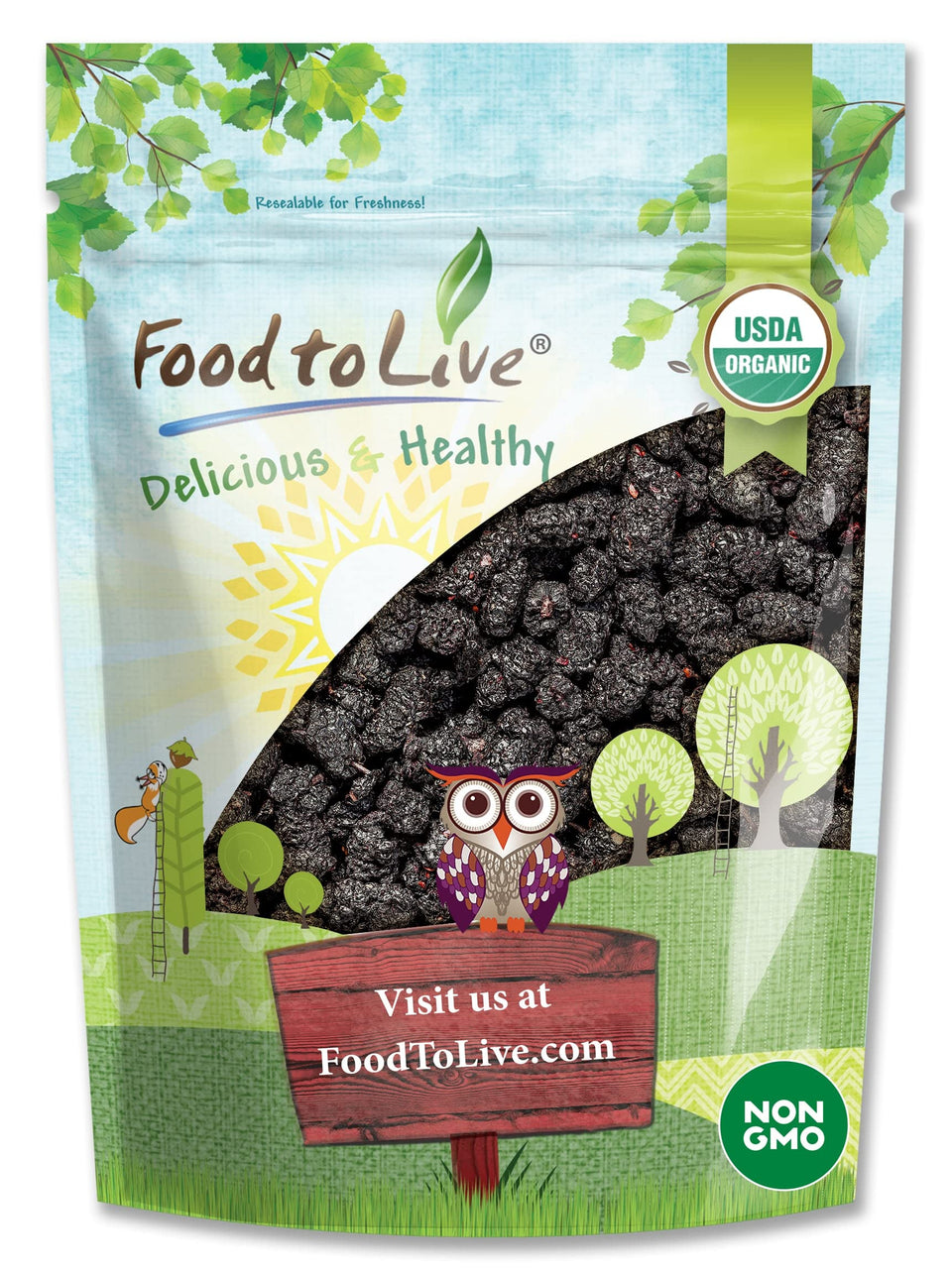 Food to Live organic dried black mulberries front packaging, a nutrient-dense snack.