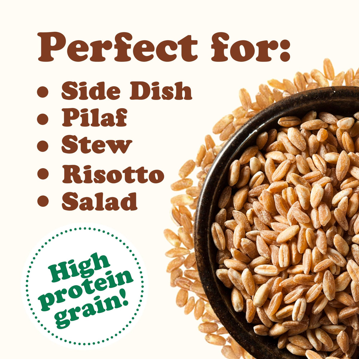 Food to Live kitchen scene with measuring cup and grain, bulk pantry staple.