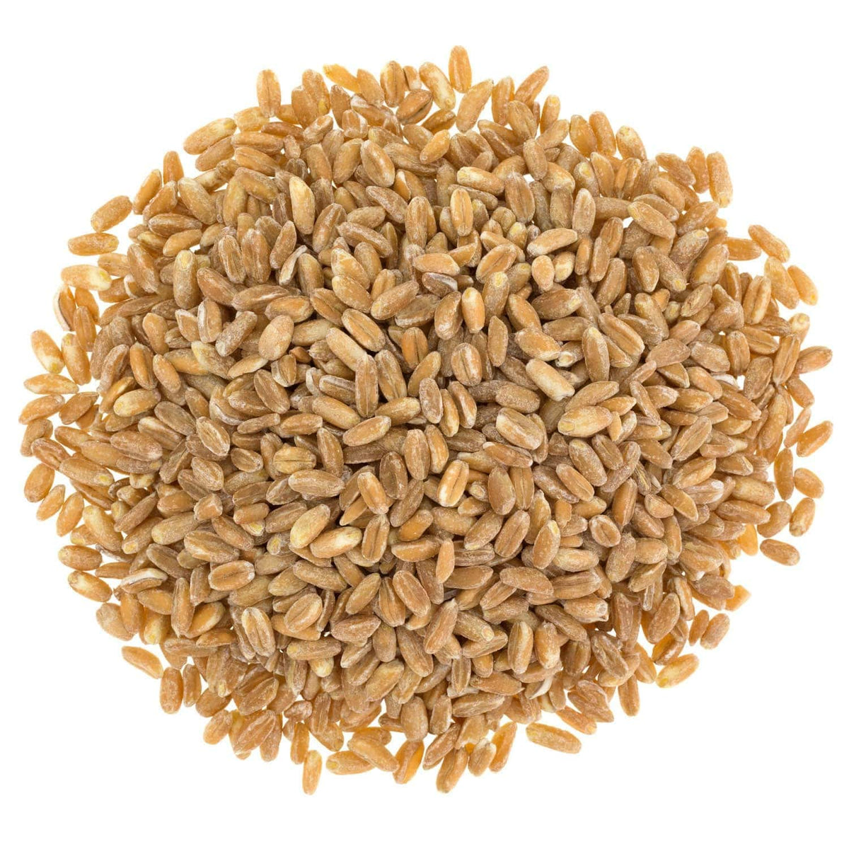 Food to Live farro salad bowl with ingredients, heartier texture for salads.